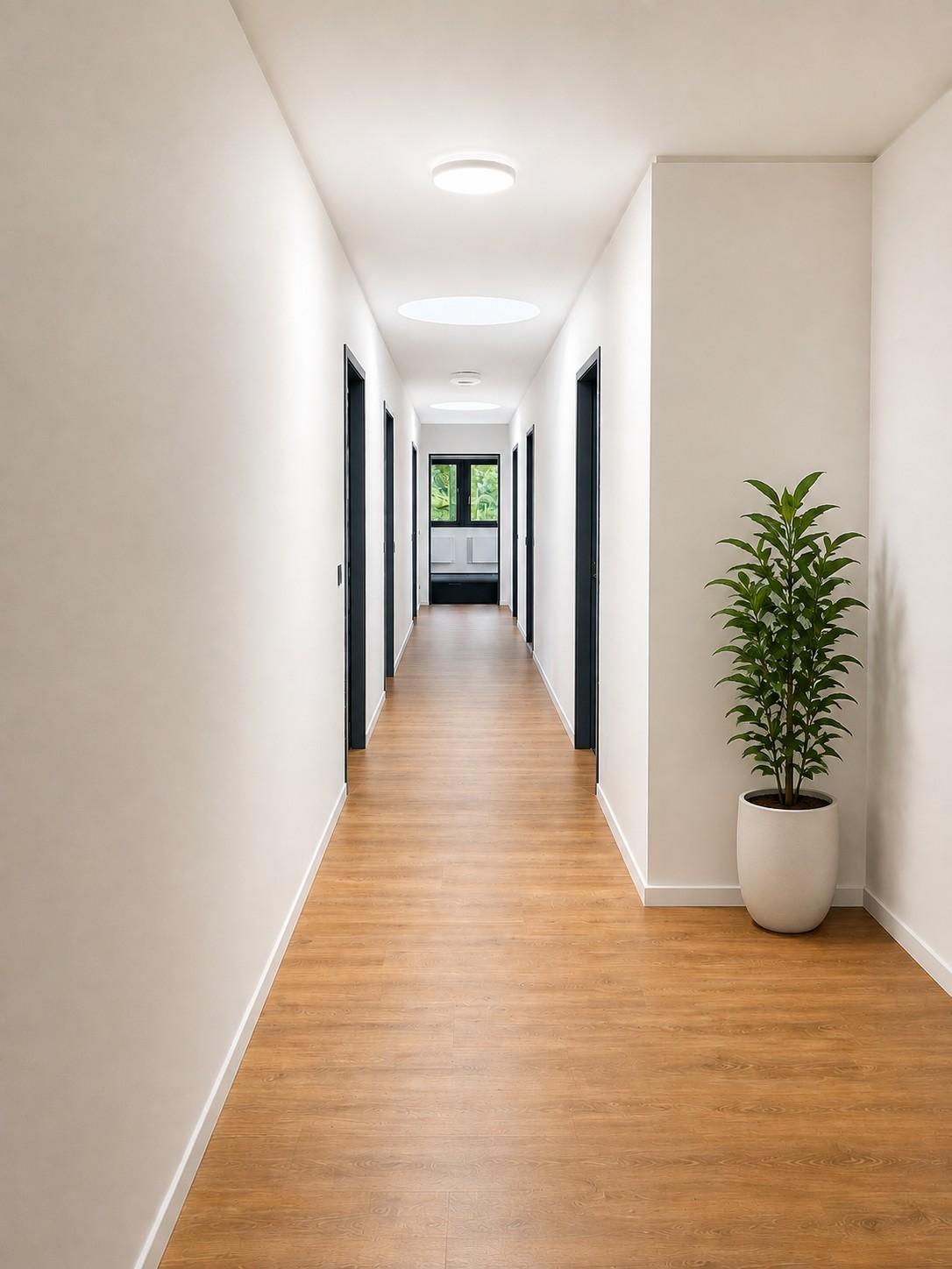 532m² commerciale