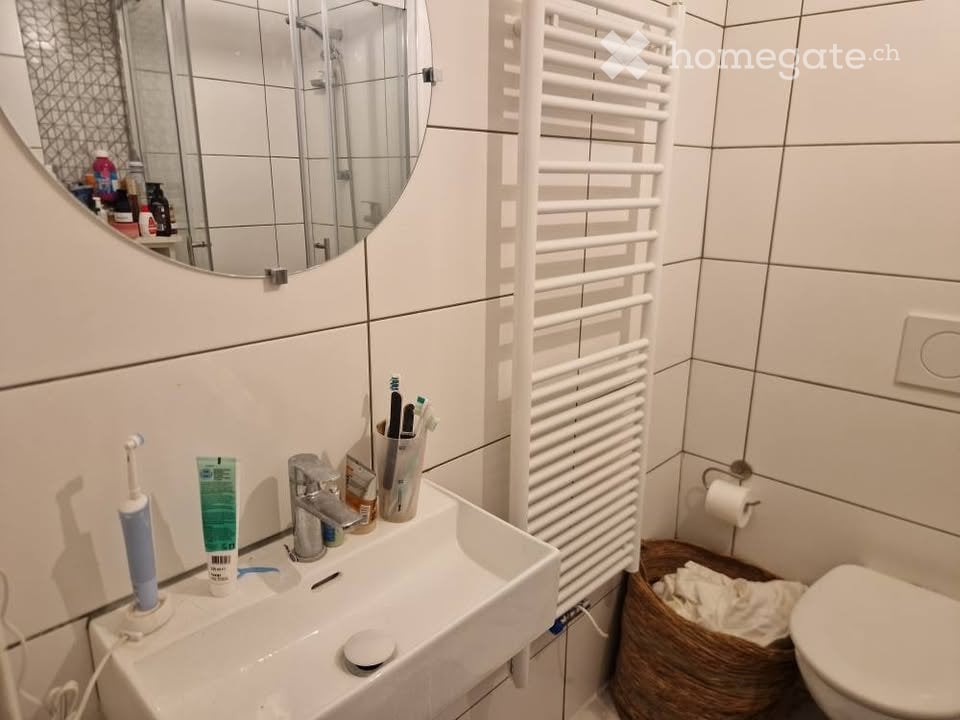 Appartamento di 2 ½ locali