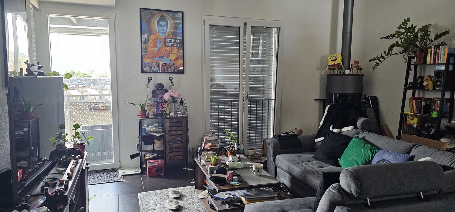 Appartamento di 3 ½ locali, foto 2 di 9