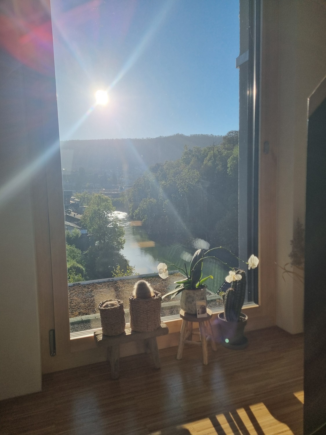 Stanza in un appartamento condiviso, foto 7 di 10