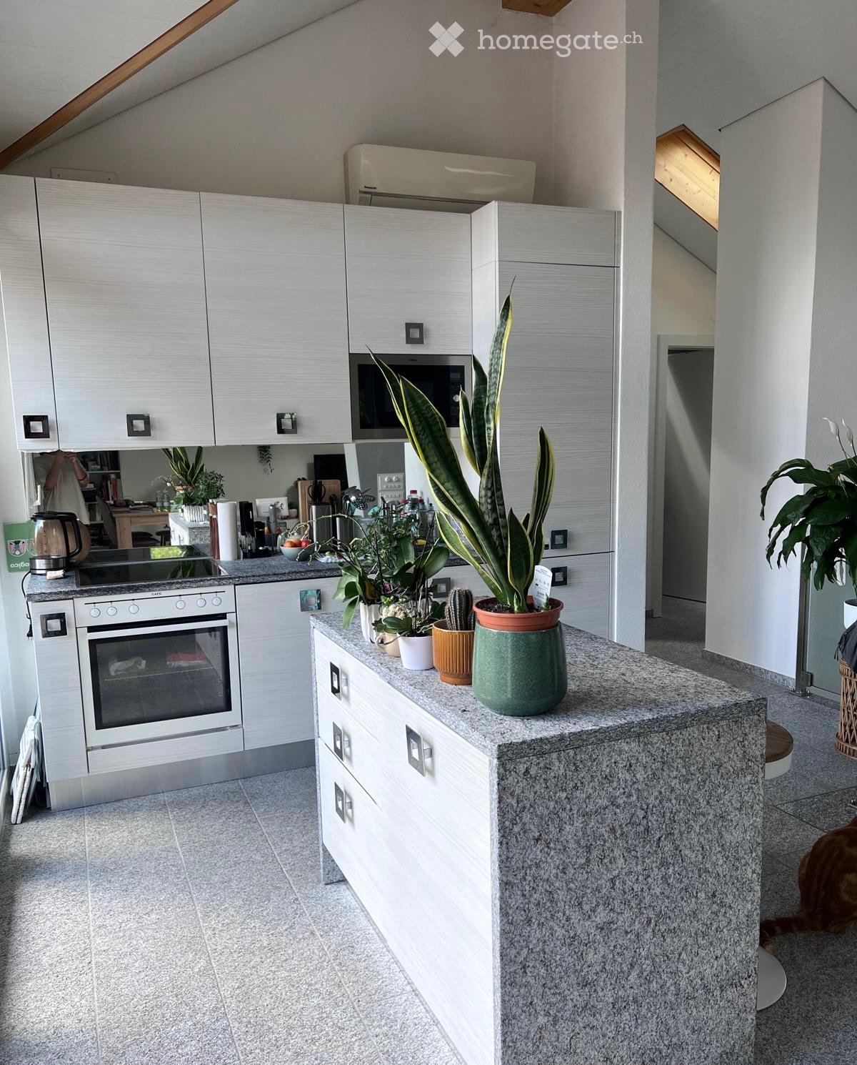 2 ½ Zimmer-Wohnung