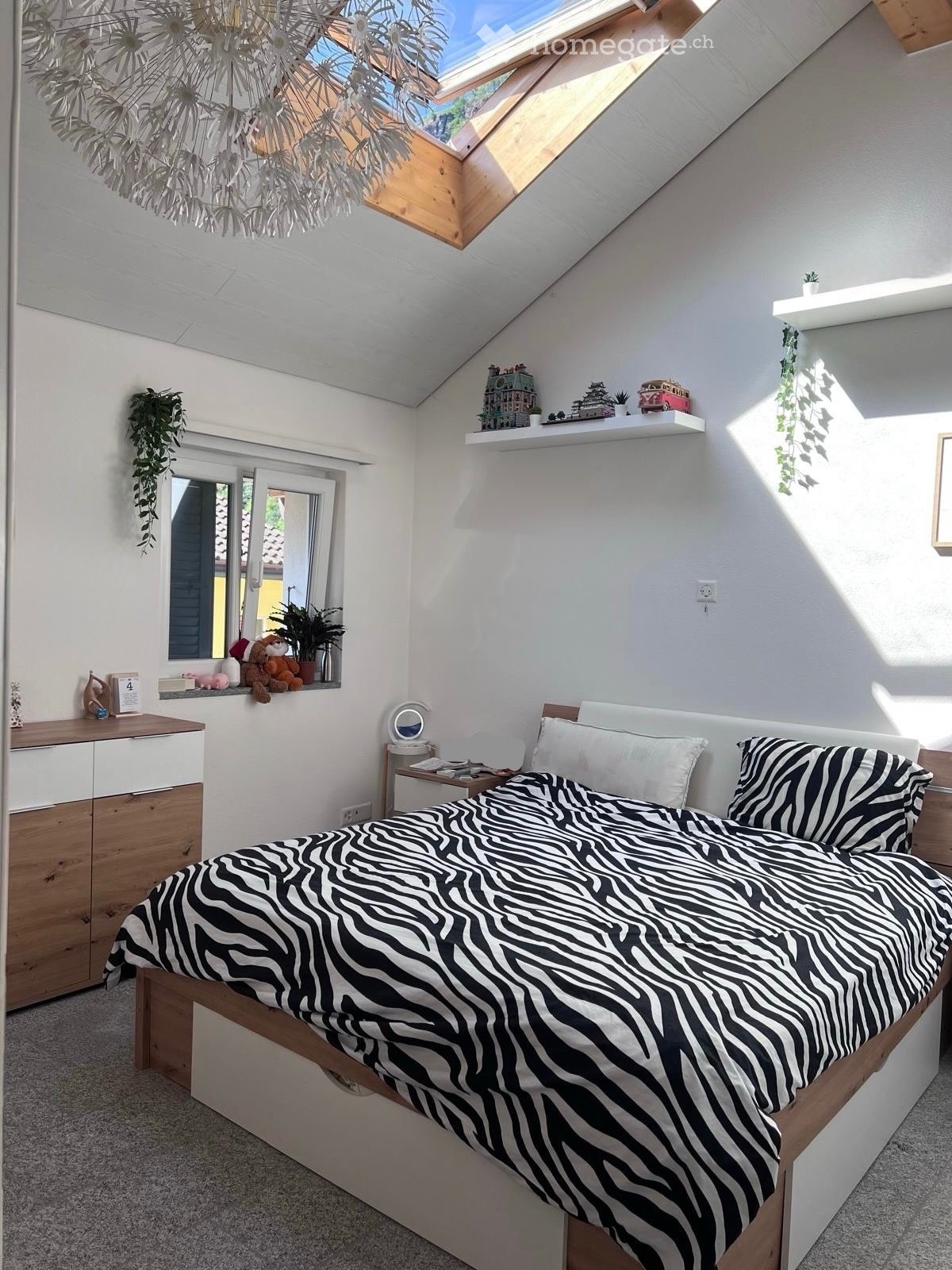 2 ½ Zimmer-Wohnung