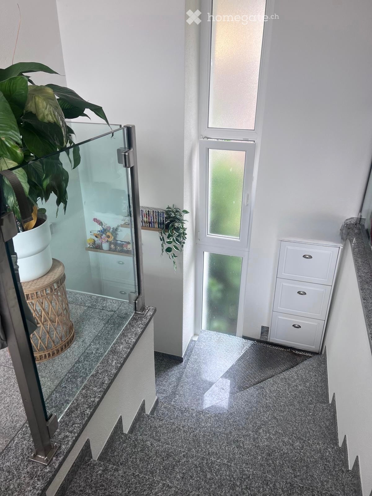 2 ½ Zimmer-Wohnung
