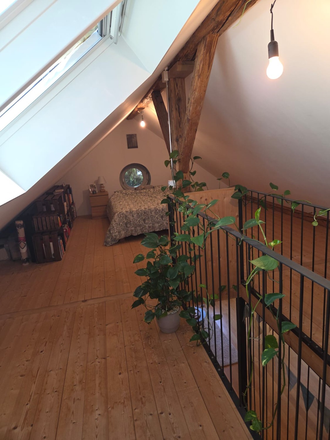 Appartement de 2 ½ pièces