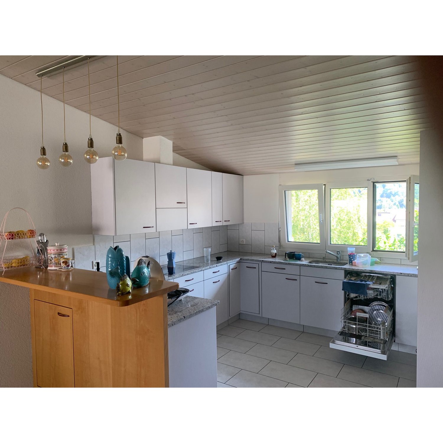 Appartamento di 5 ½ locali
