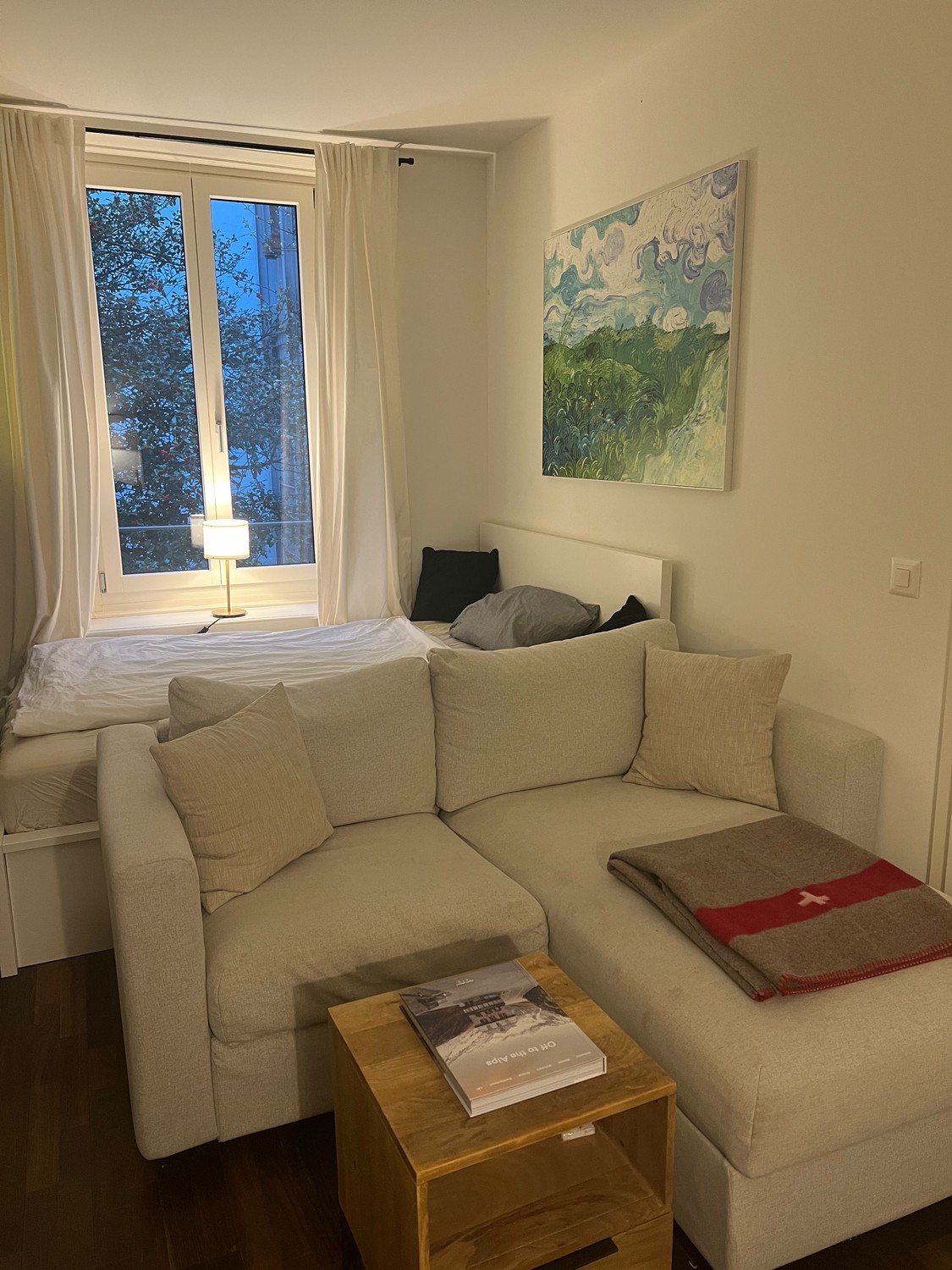 Room in a shared flat