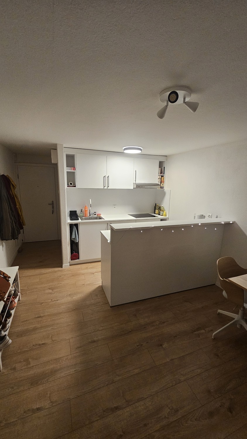 1-Zimmer-Wohnung