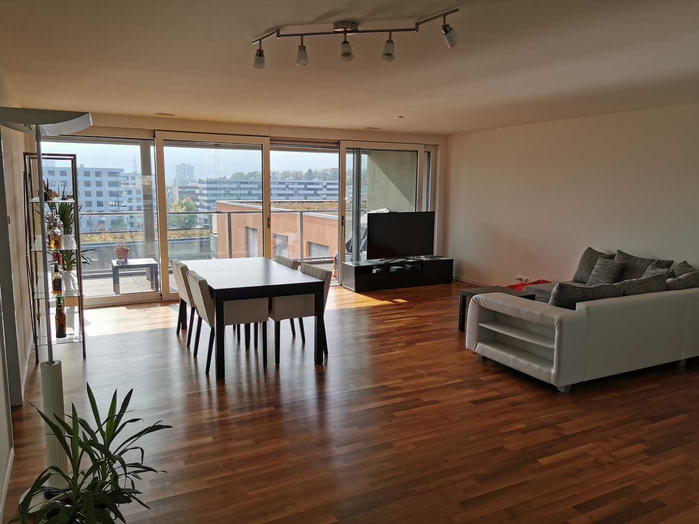 Room in a shared flat