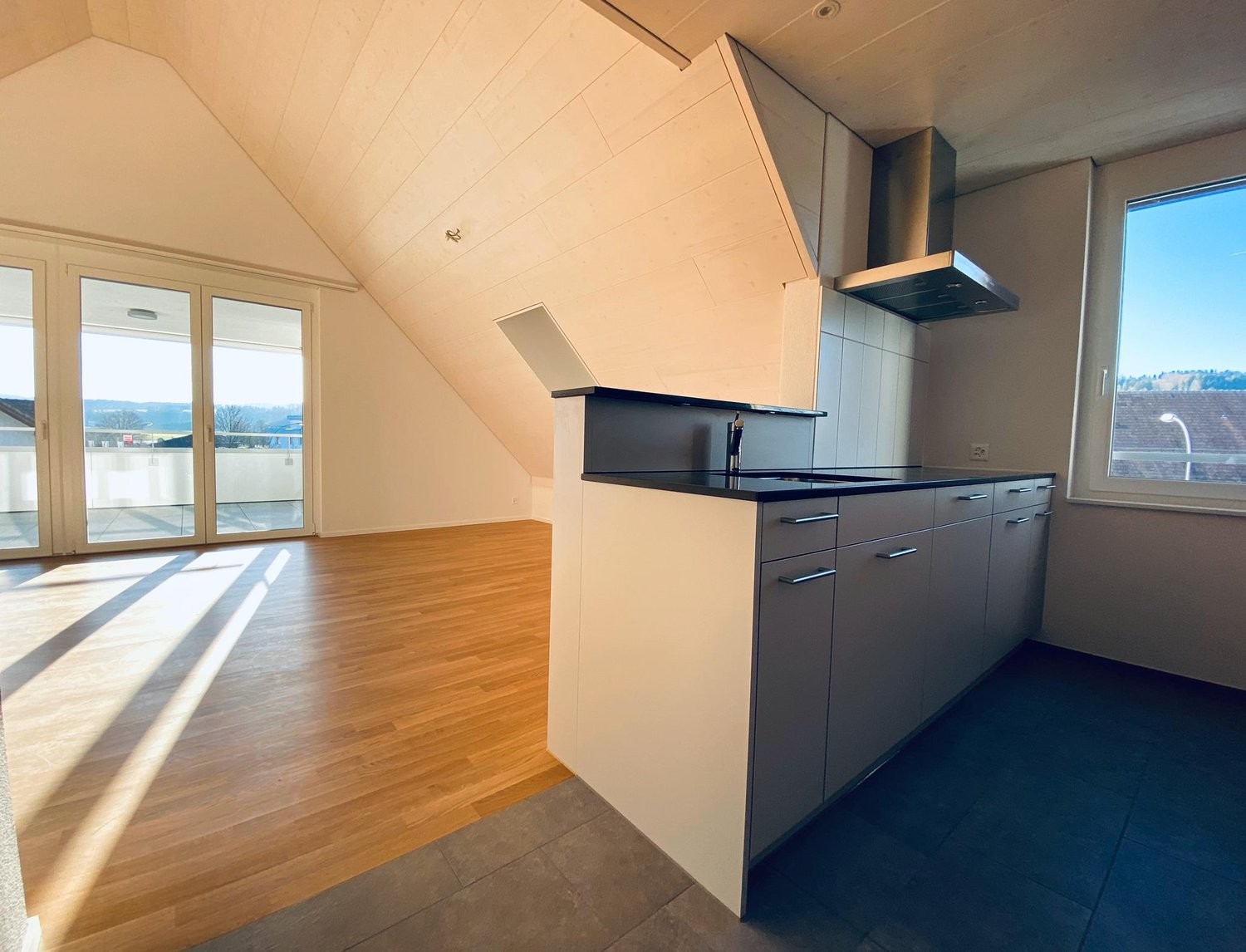 Appartamento di 2 ½ locali, foto 1 di 7