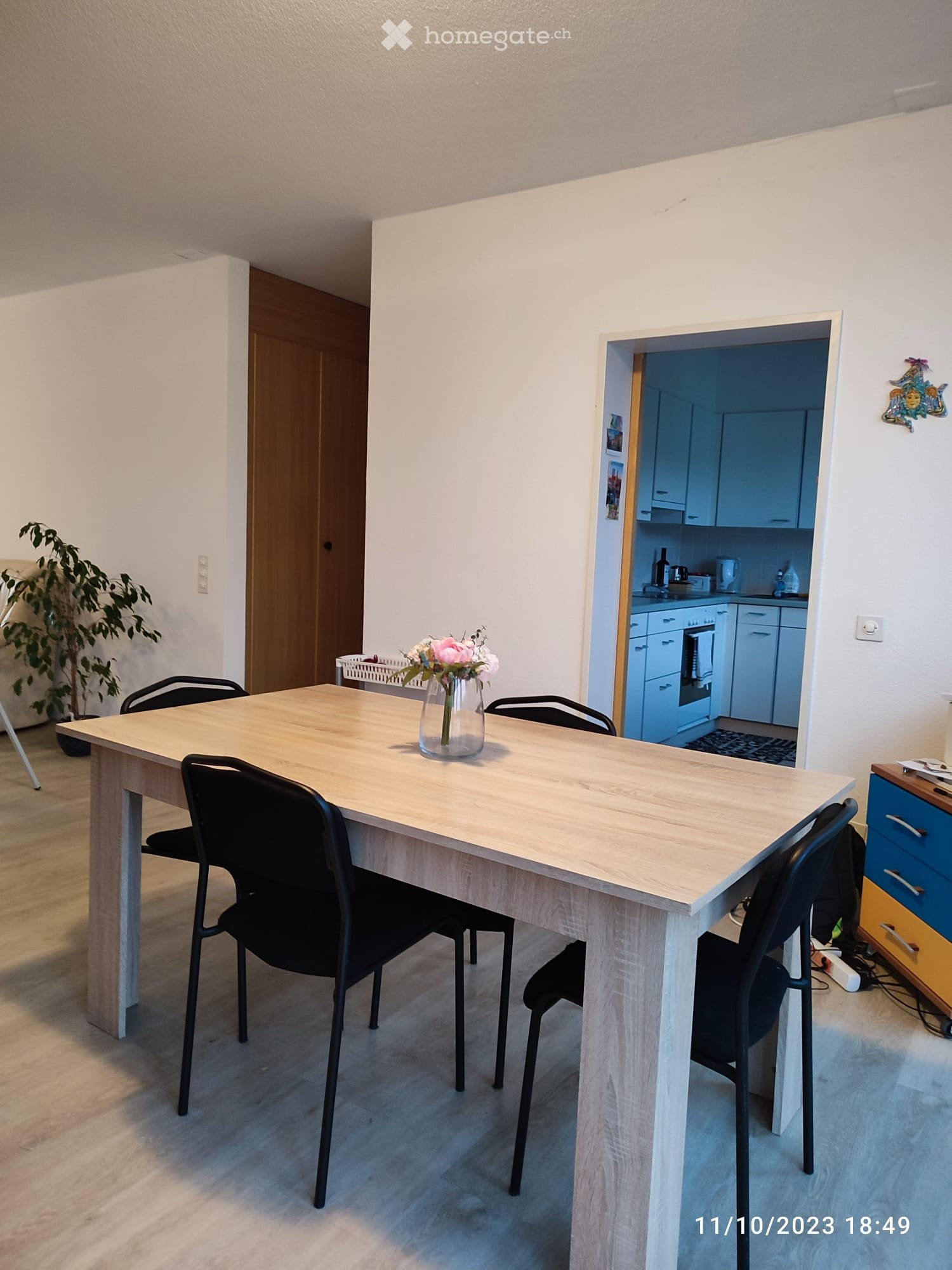 3 ½ Zimmer Wohnung