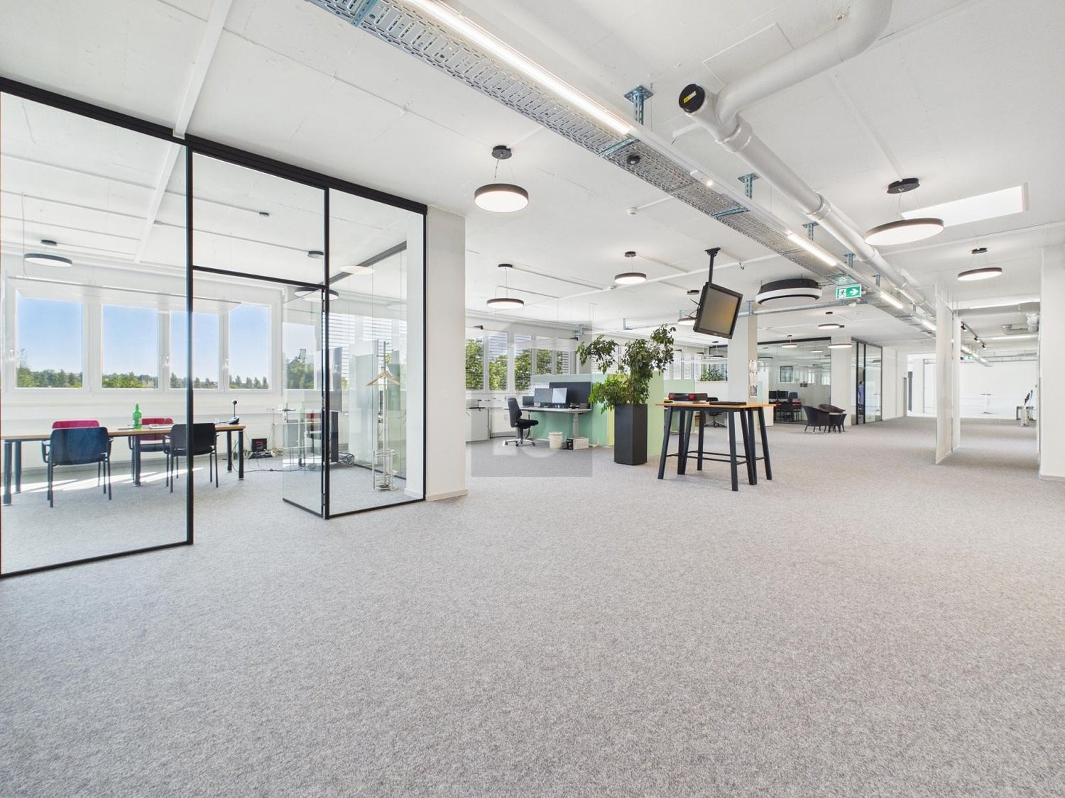 950m² ufficio