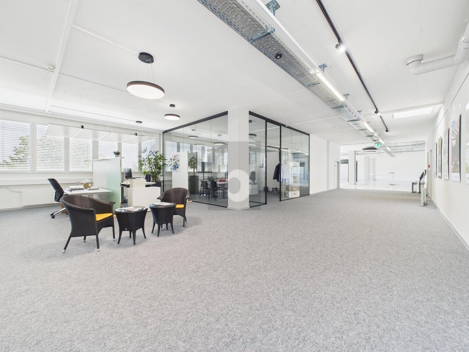 950m² ufficio