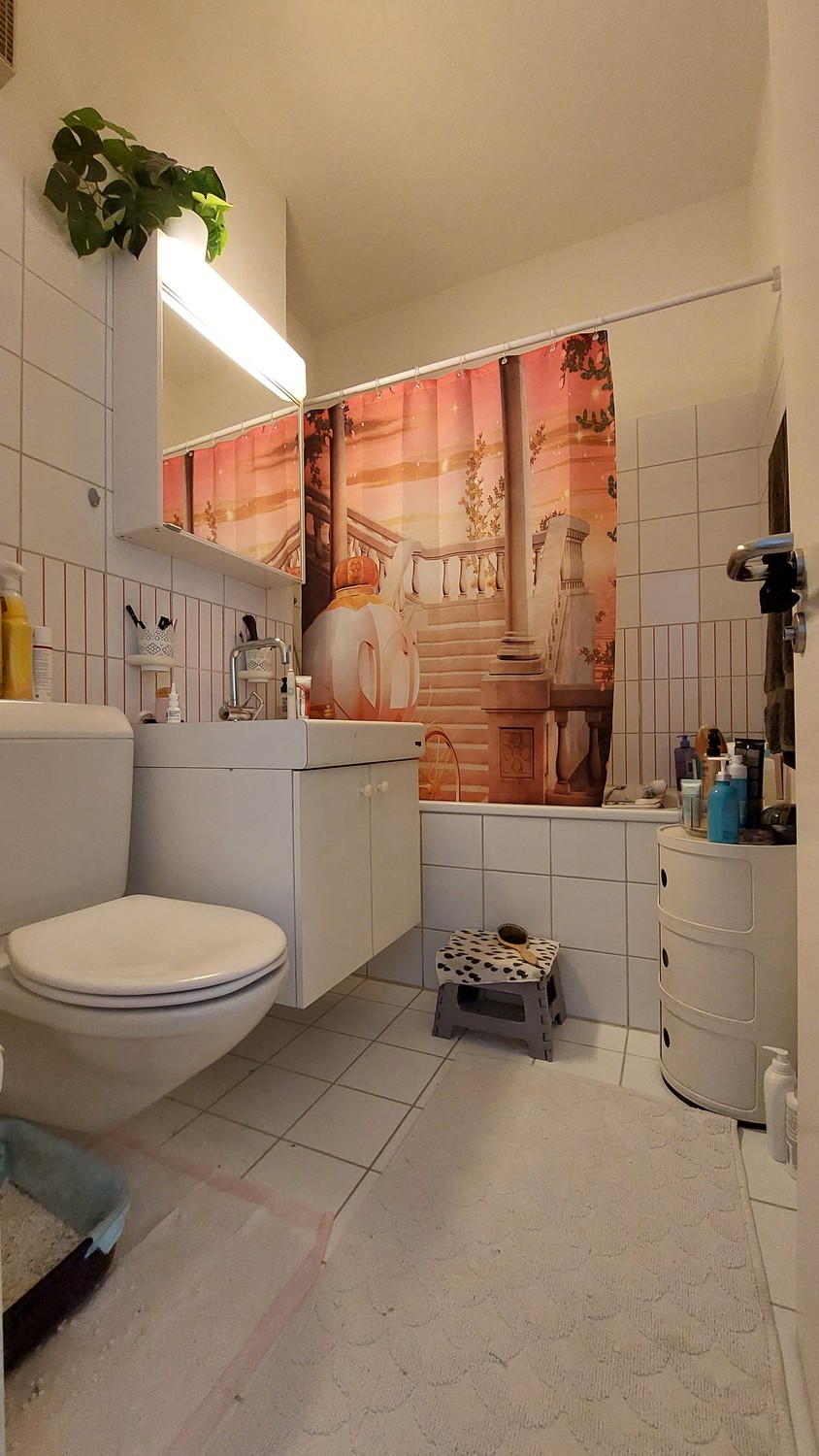 Appartamento di 2 ½ locali, foto 4 di 5
