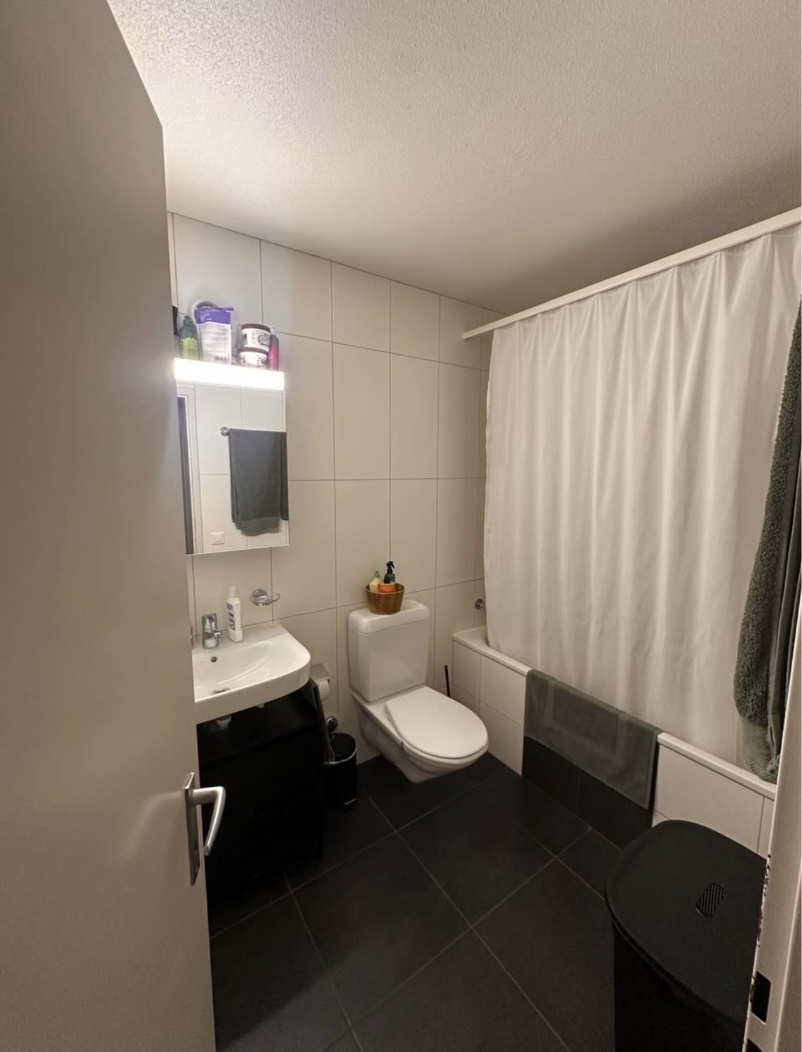 Appartamento arredato di 2 ½ locali, foto 5 di 7