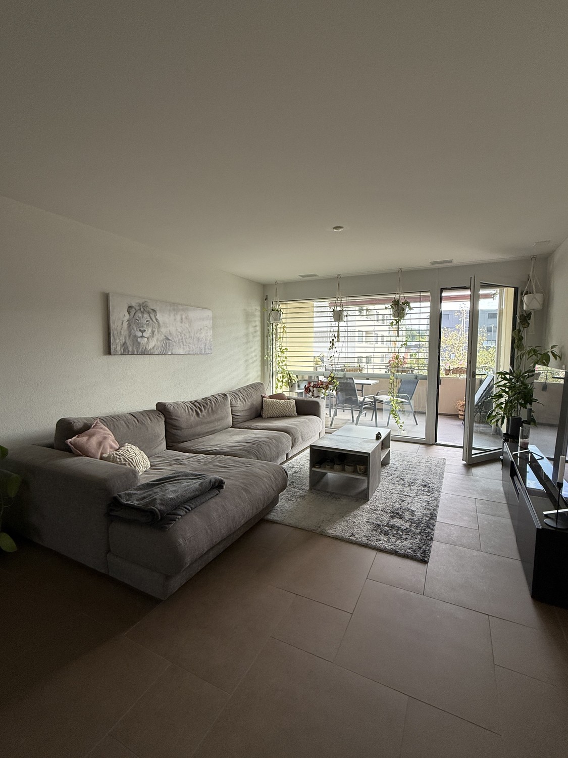 Appartamento di 2 ½ locali