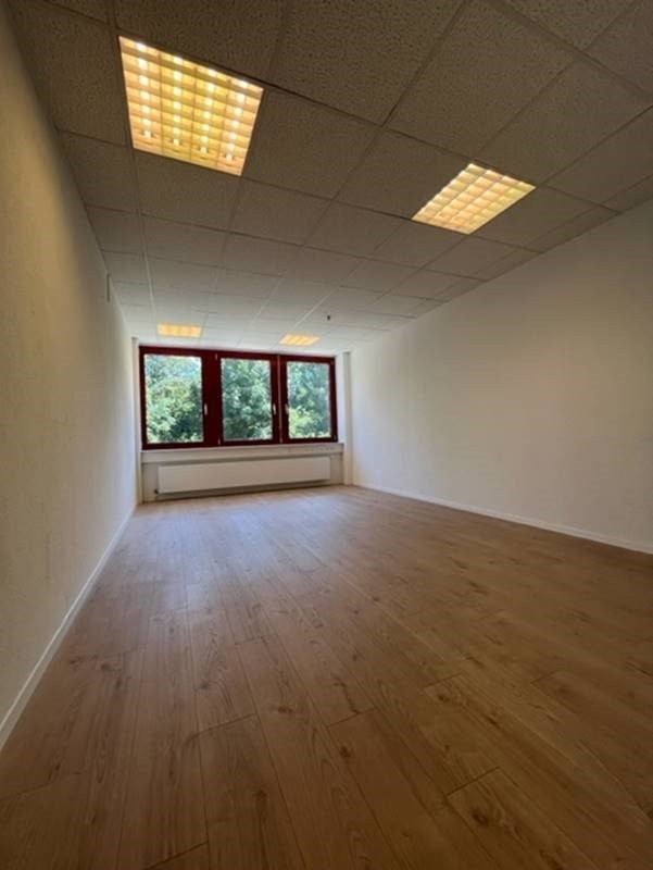 ufficio di 246m²
