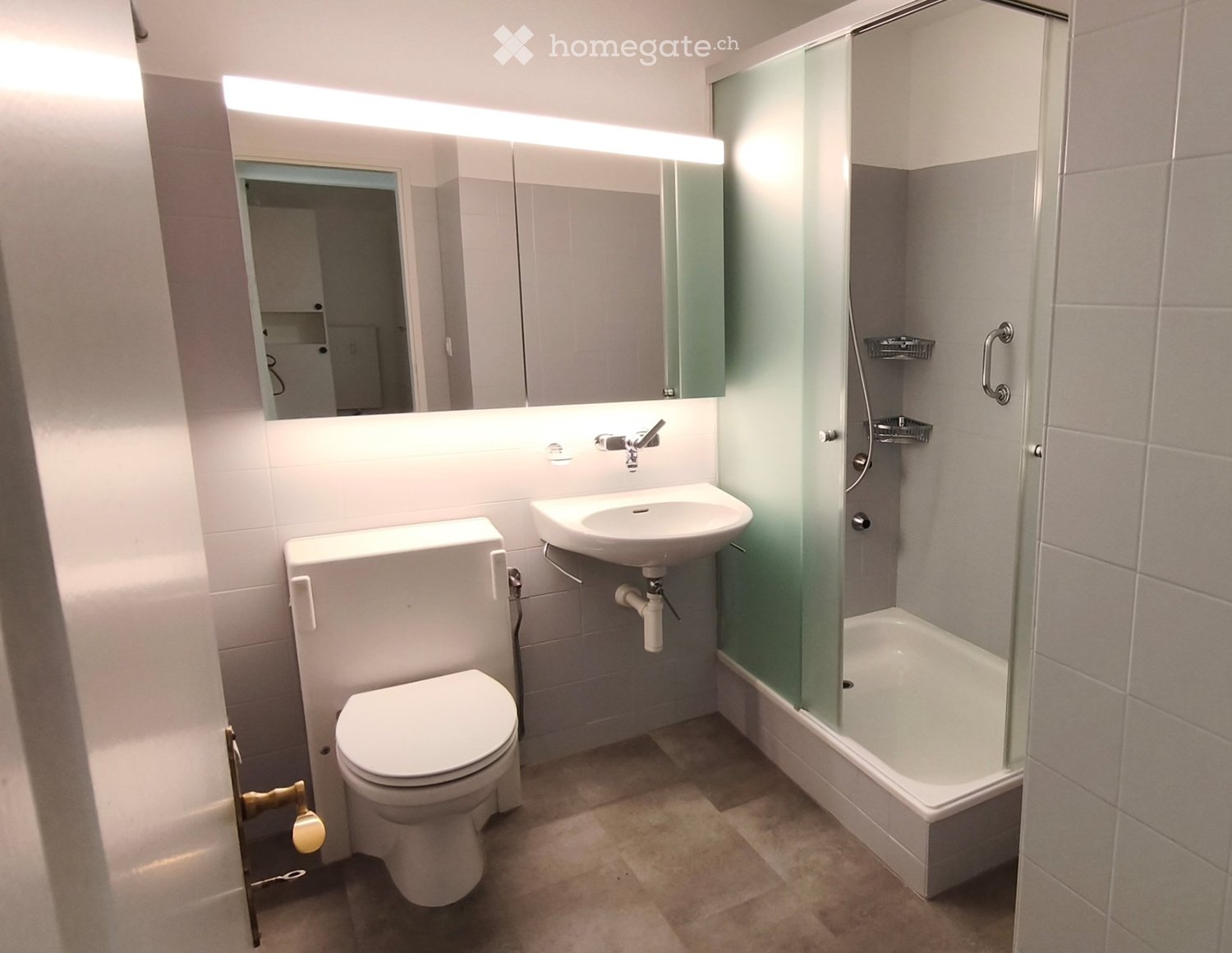 Appartement de 3 ½ pièces