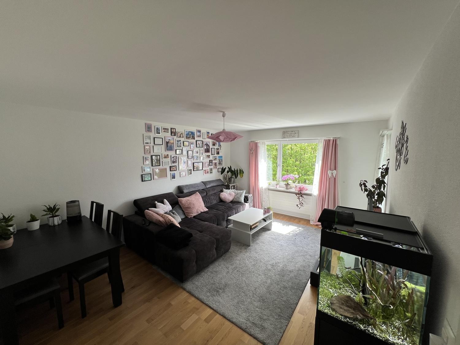 Room in a shared flat