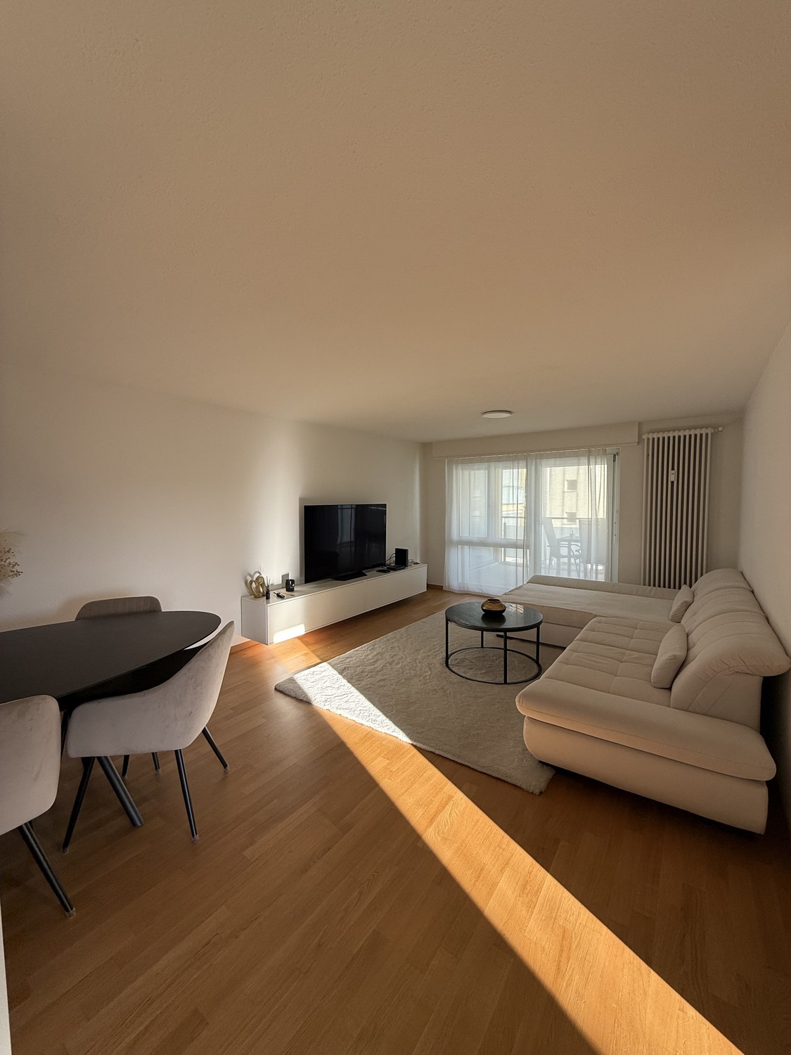 Appartamento di 3 ½ locali, foto 1 di 10