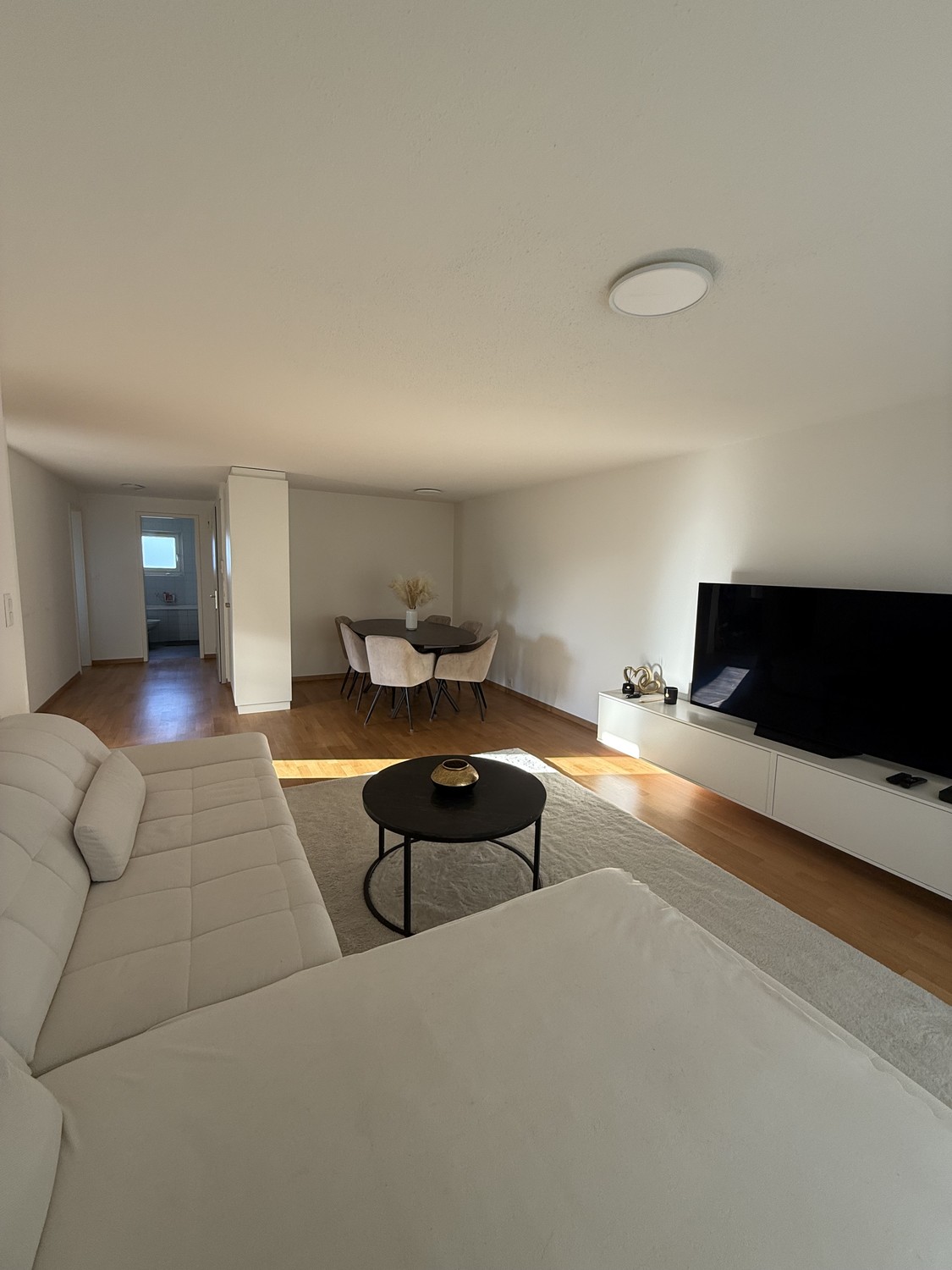 Appartamento di 3 ½ locali, foto 2 di 10