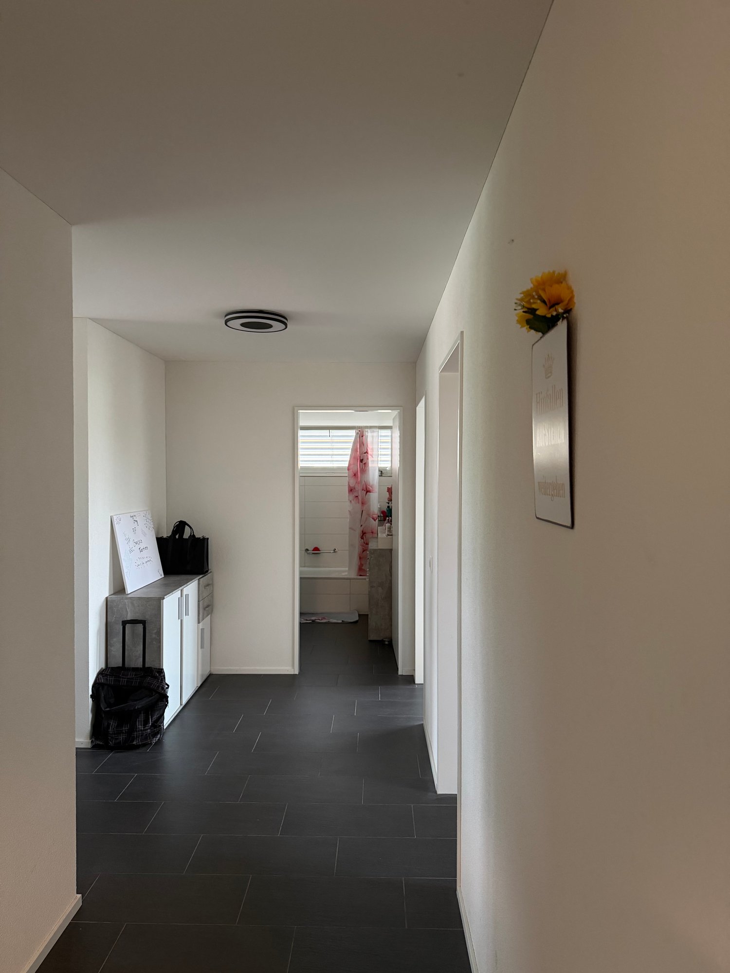 Appartamento di 3 ½ locali