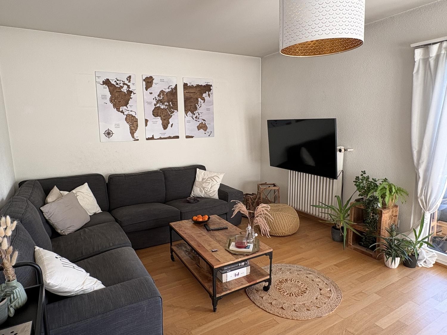 Appartamento di 3 ½ locali, foto 2 di 9
