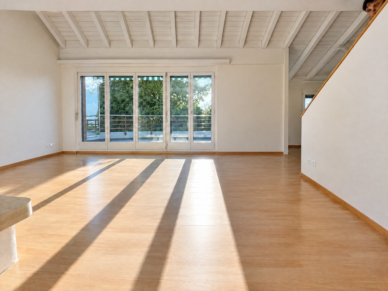 5 ½ rooms apartment