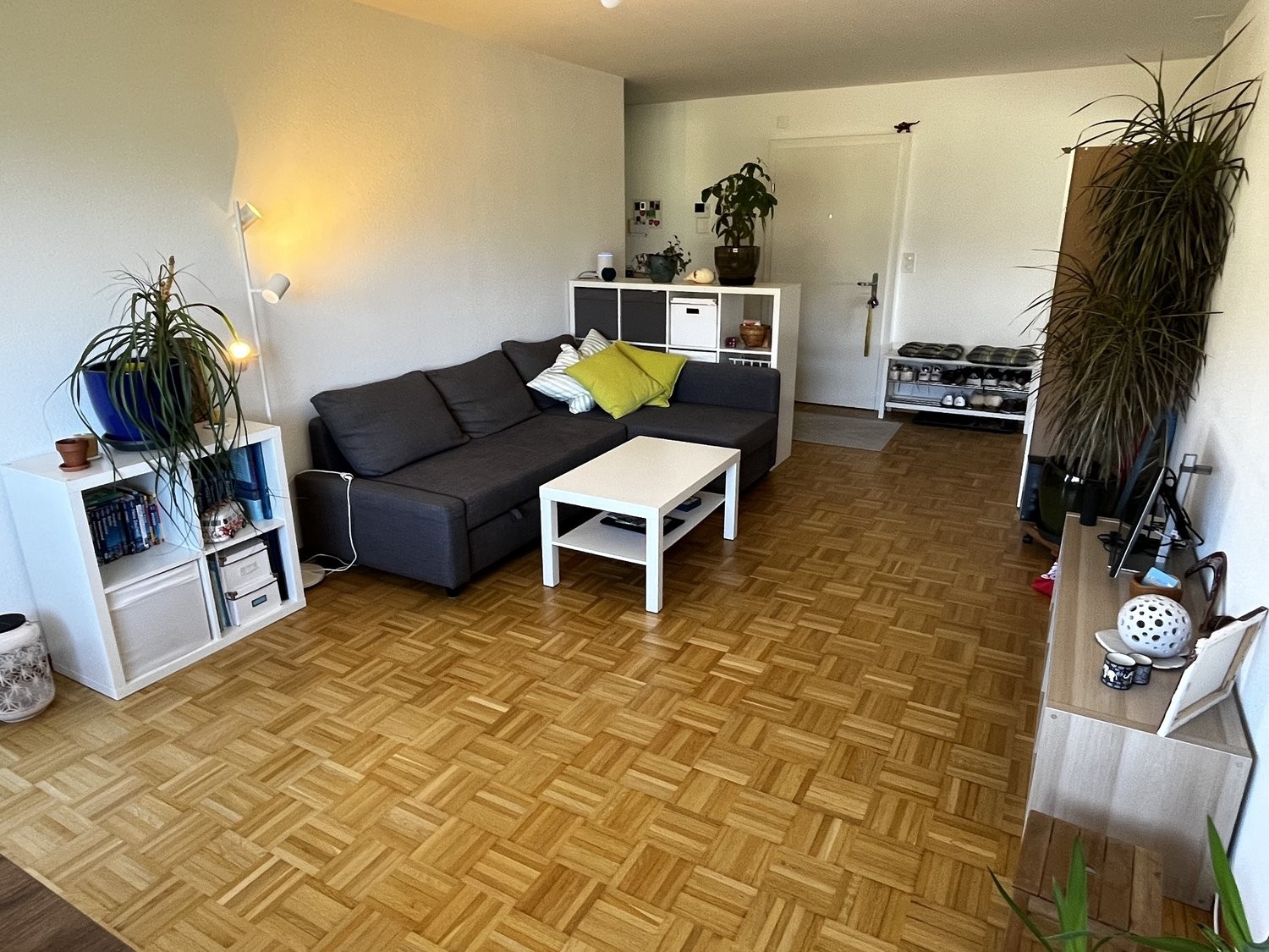 appartamento arredato di 2 ½ locali