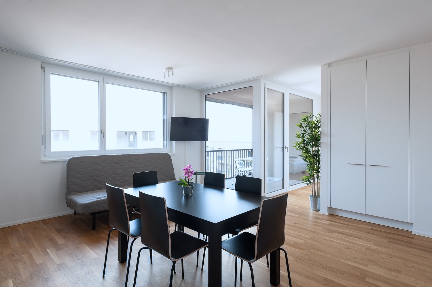 2 ½ room furnished flat