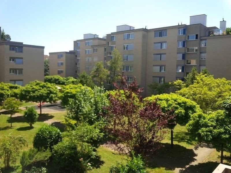 Accogliente appartamento di 3 locali a Zurich-Altstetten (disponibile fino a settembre 2027)