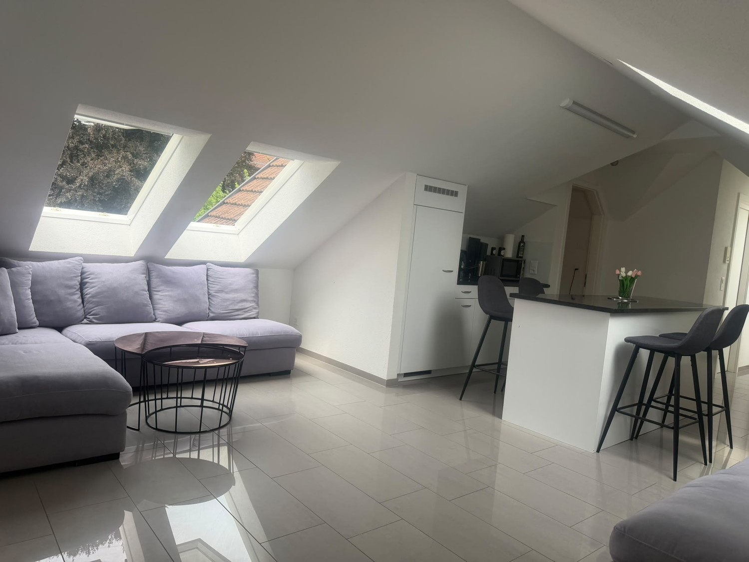 Appartamento di 2 ½ locali, foto 1 di 9