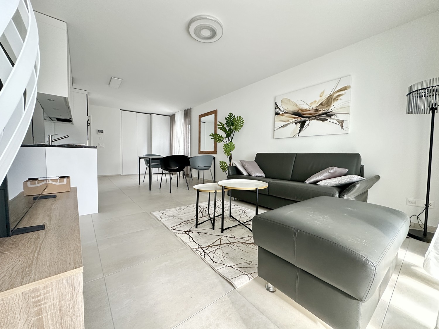 2 ½ rooms furnished flat