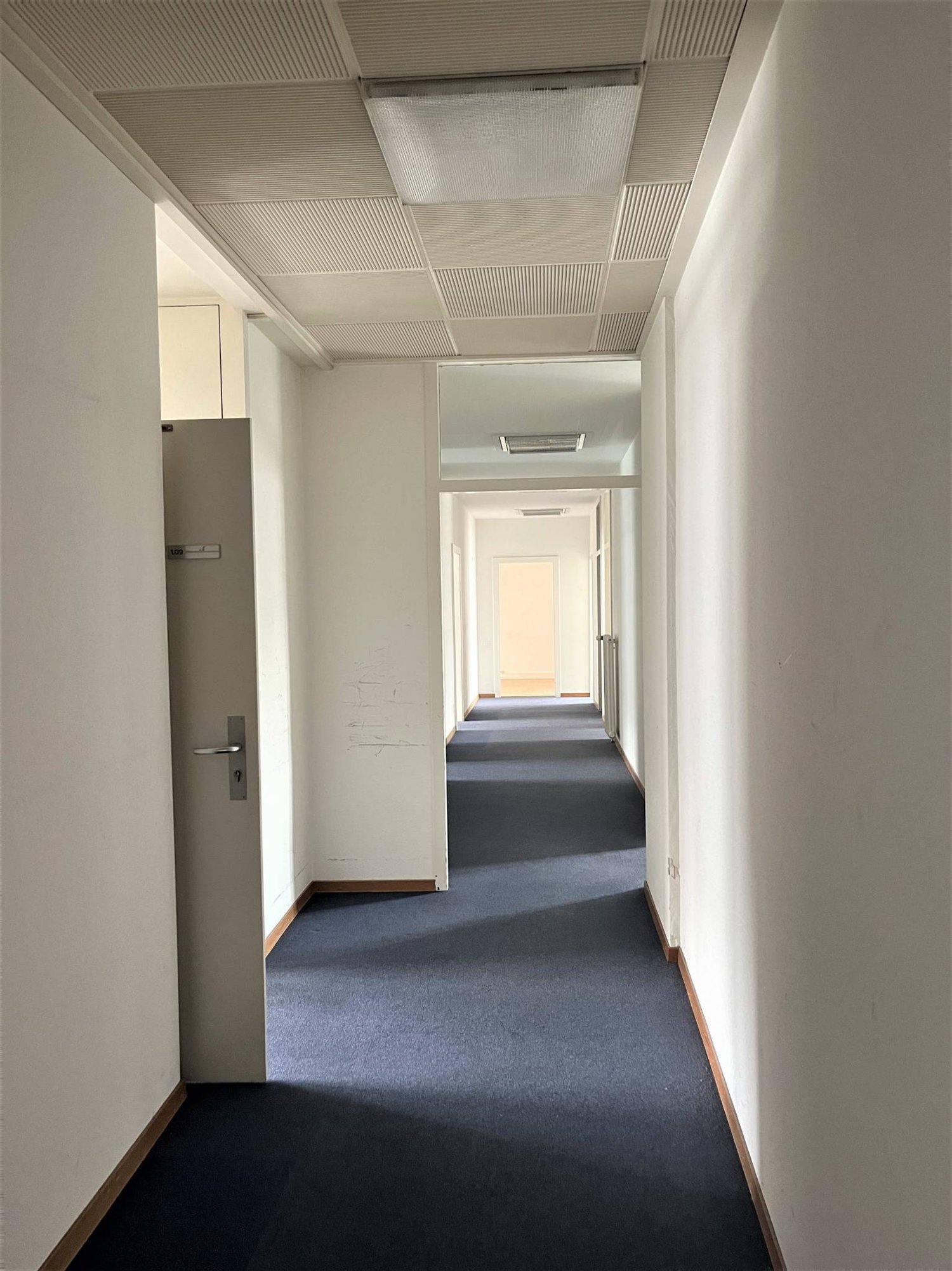 305m² ufficio, foto 3 di 7
