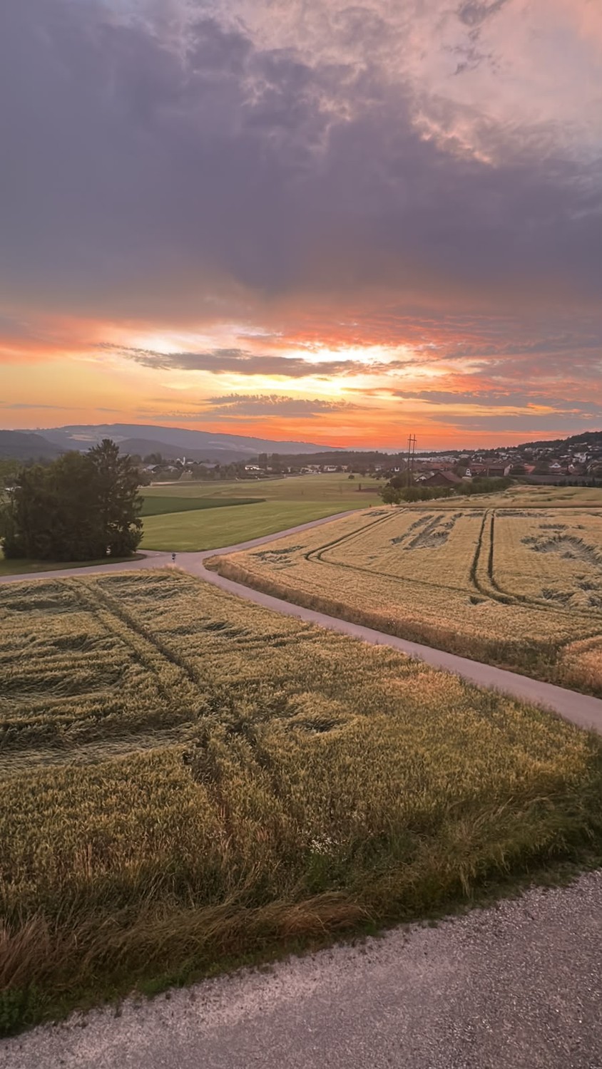 Appartamento di 3 ½ locali, foto 9 di 10