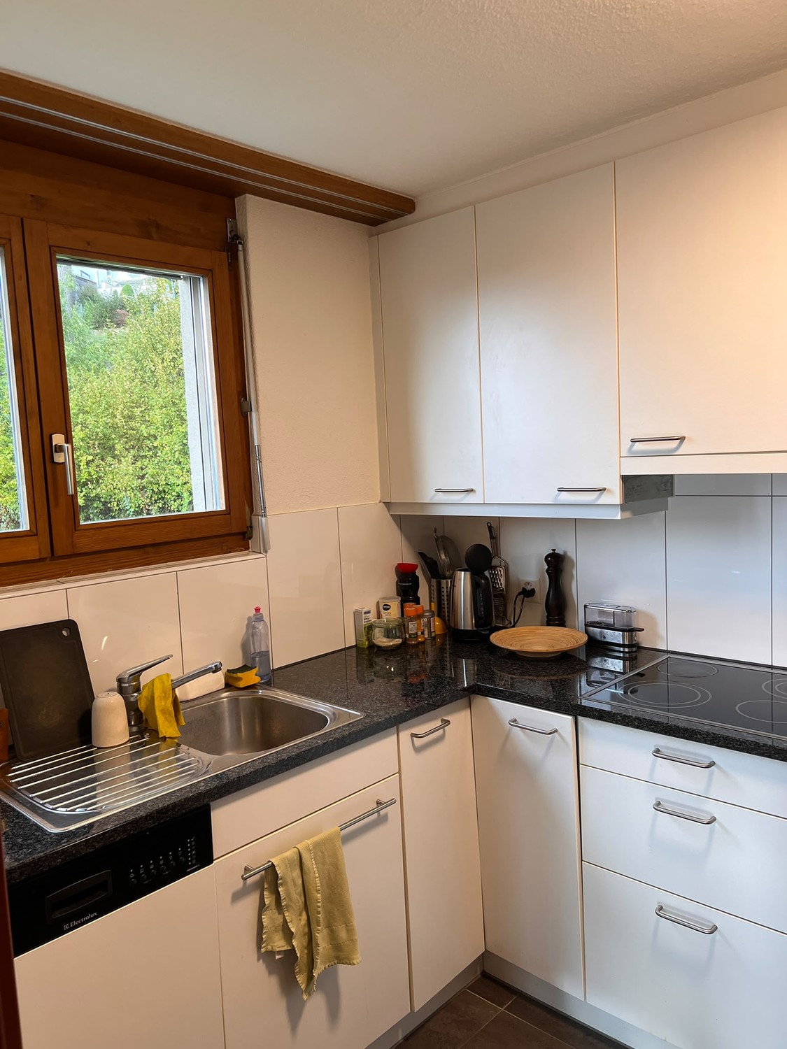 Appartamento di 2 ½ locali, foto 4 di 6
