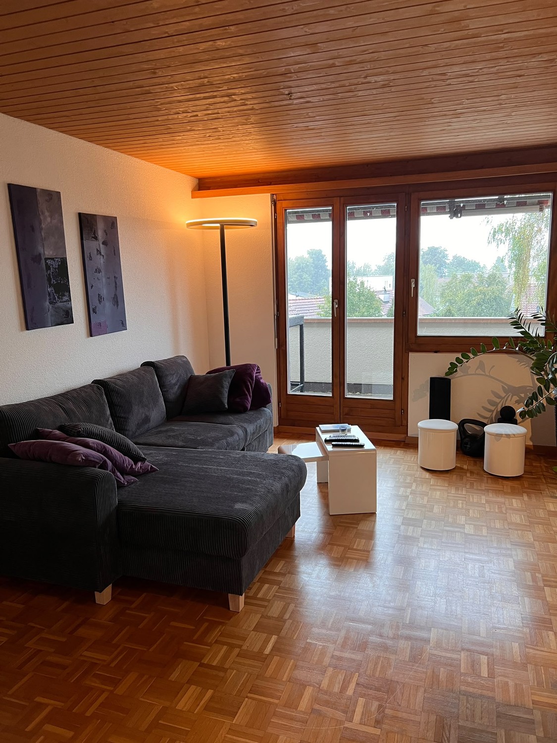 Appartamento di 2 ½ locali, foto 2 di 6