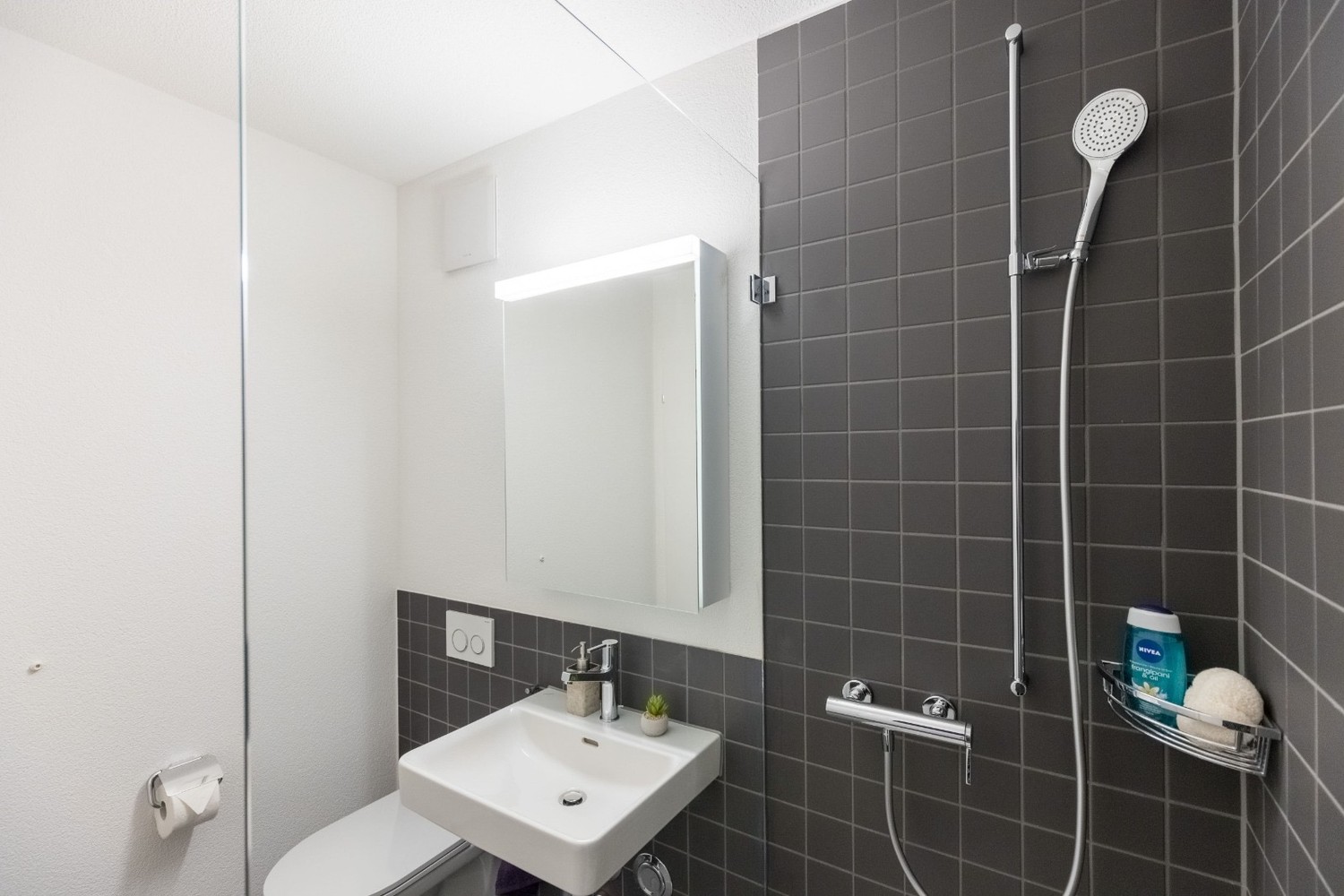 Appartamento di 1 ½ locali, foto 7 di 8