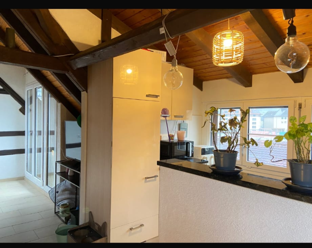 3 ½ rooms apartment