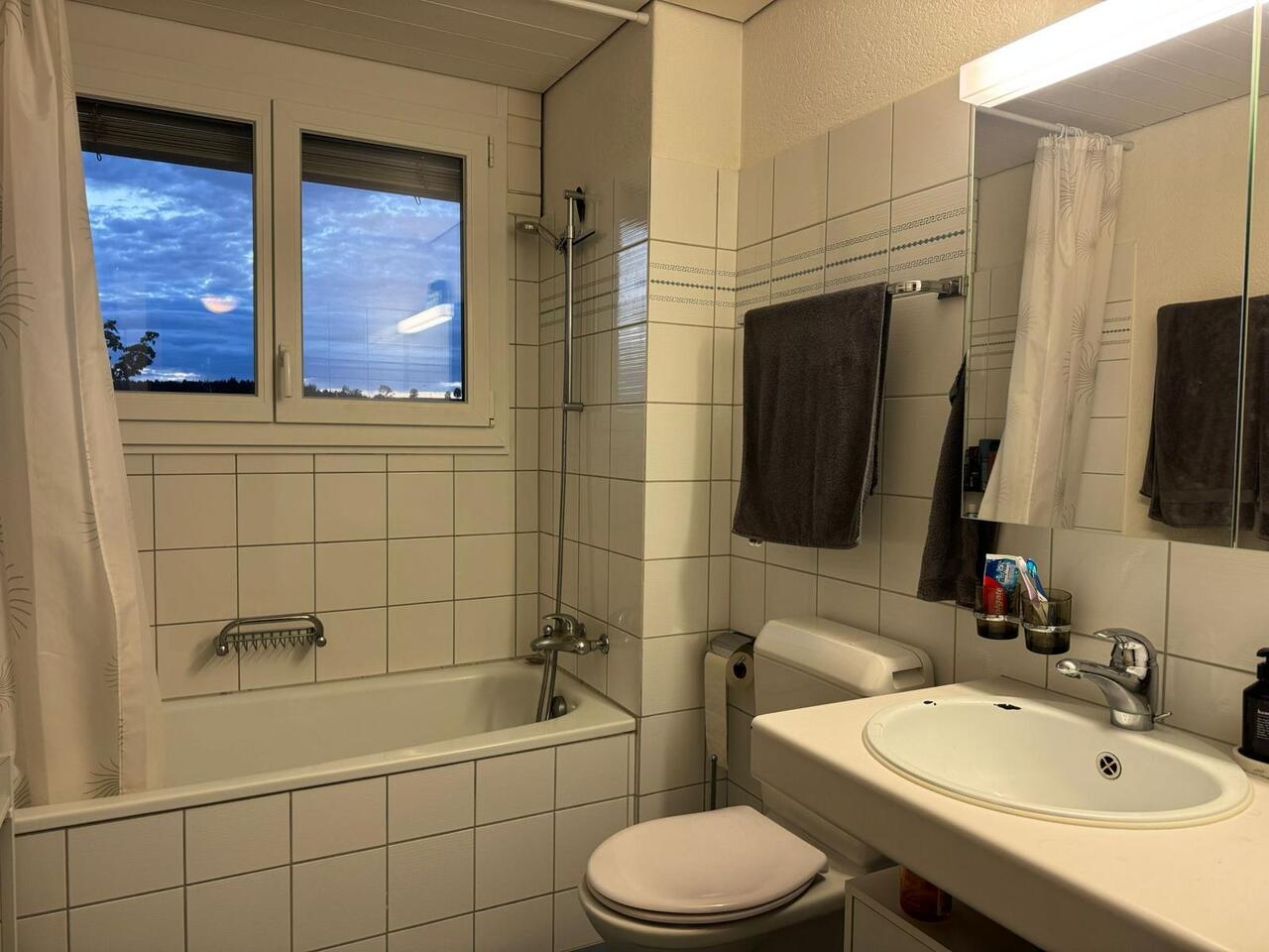 Appartamento di 3 ½ locali, foto 10 di 10