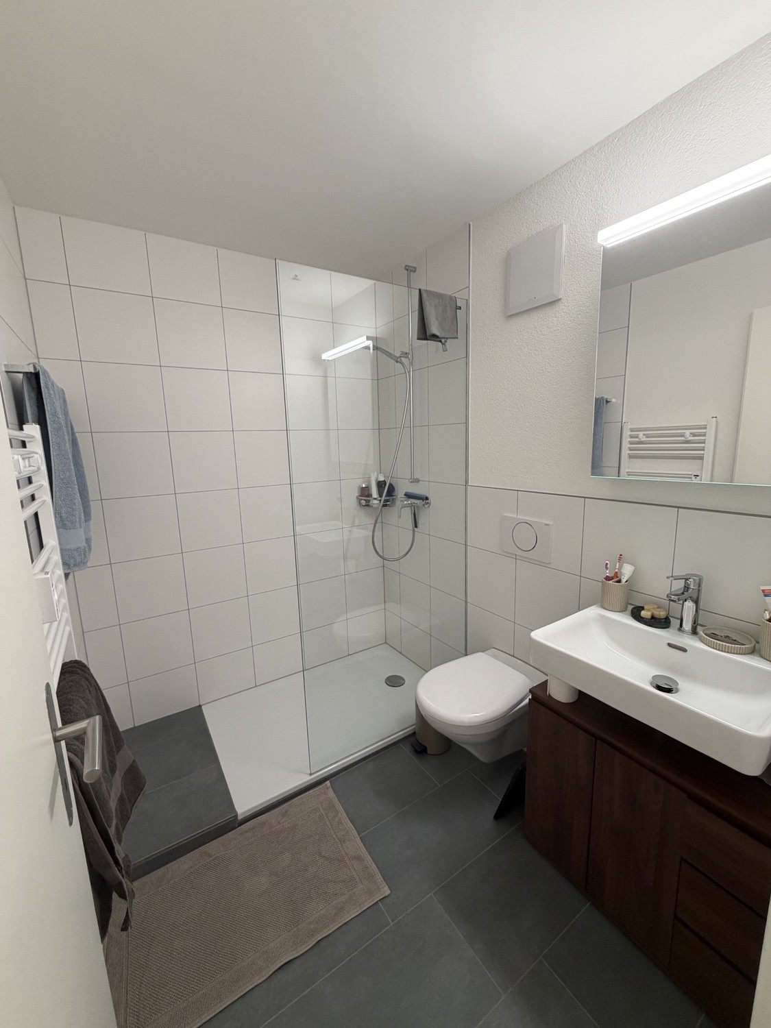 Appartamento di 2 ½ locali, foto 8 di 8