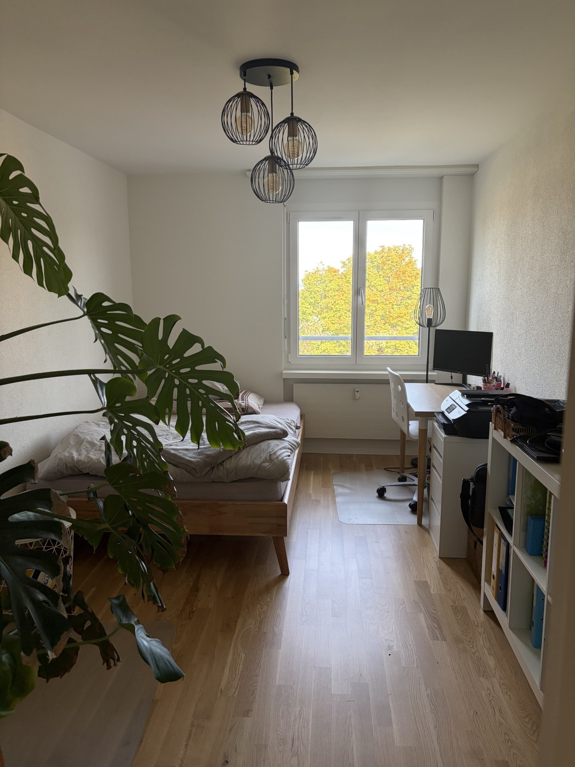 Appartamento di 2 ½ locali, foto 7 di 8
