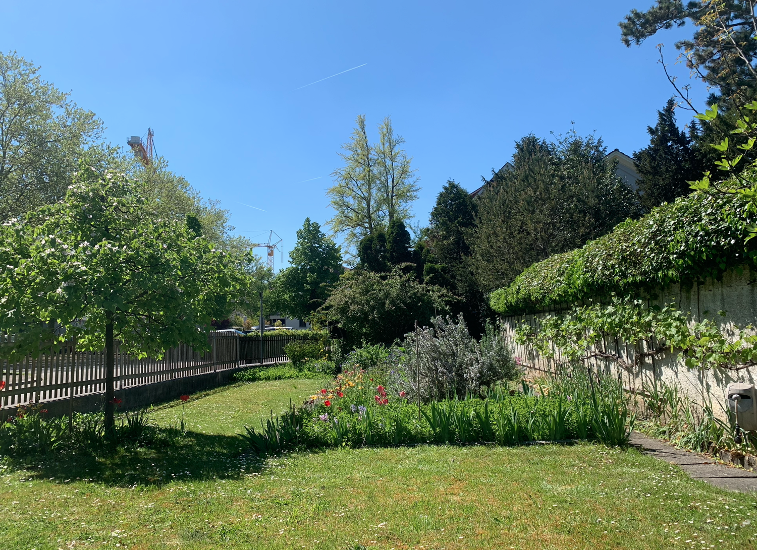casa singola di 2 locali, foto 6 di 9