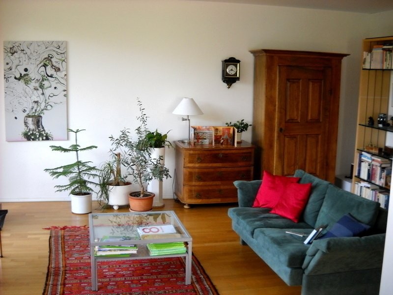 appartamento arredato di 3 ½ locali