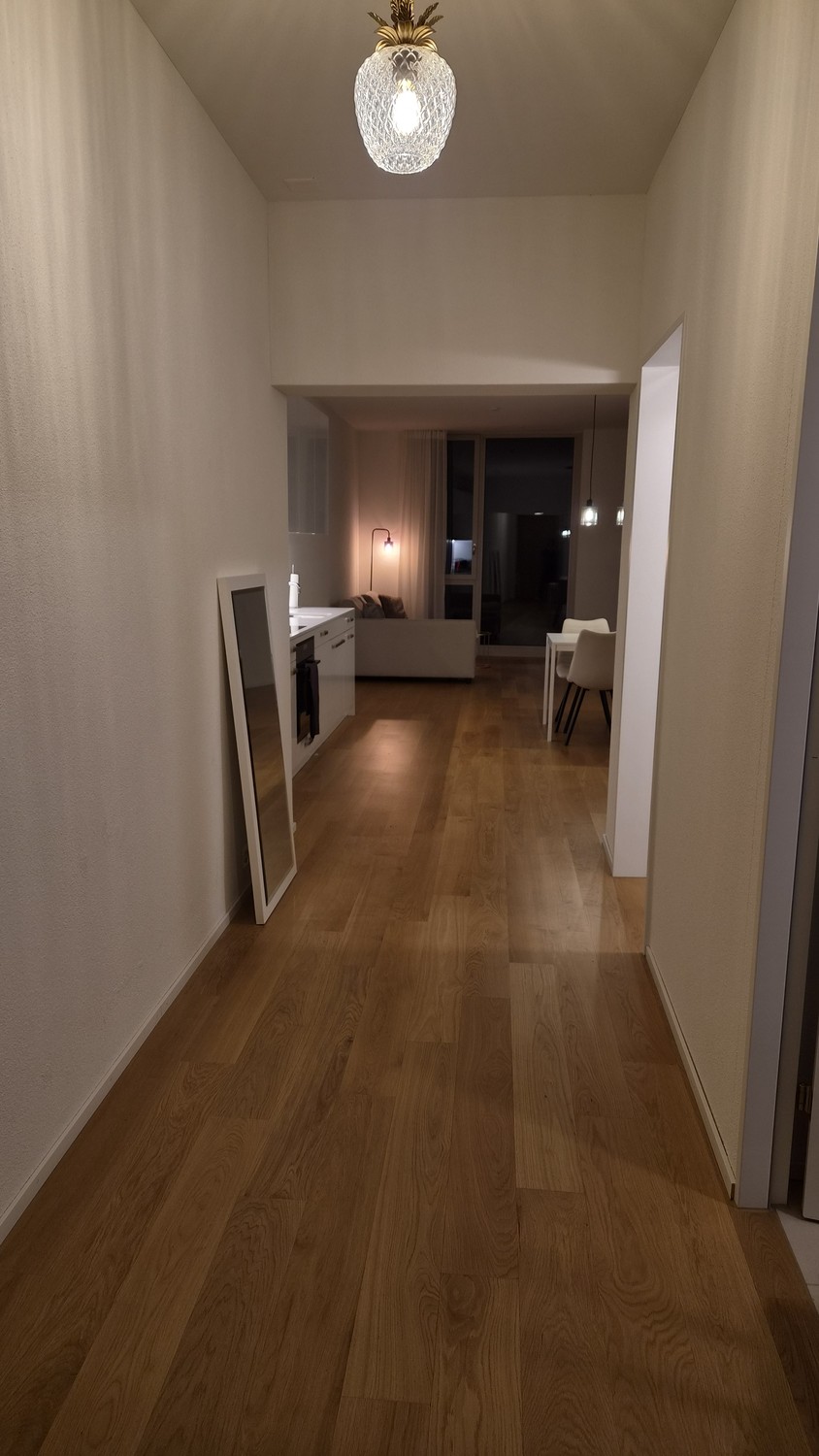 Appartamento di 2 ½ locali, foto 1 di 6