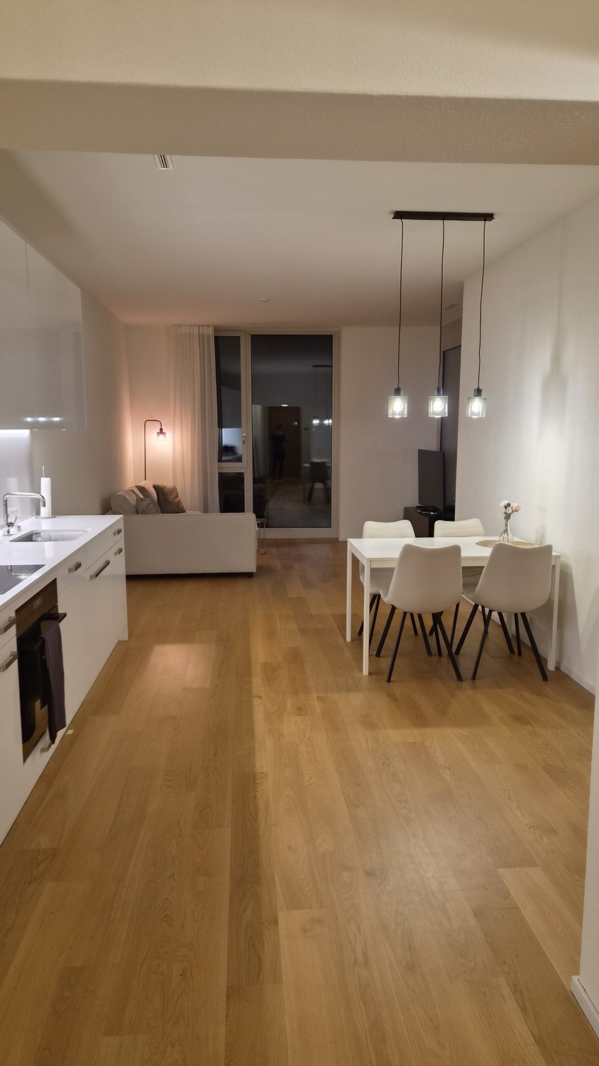 Appartamento di 2 ½ locali, foto 2 di 6
