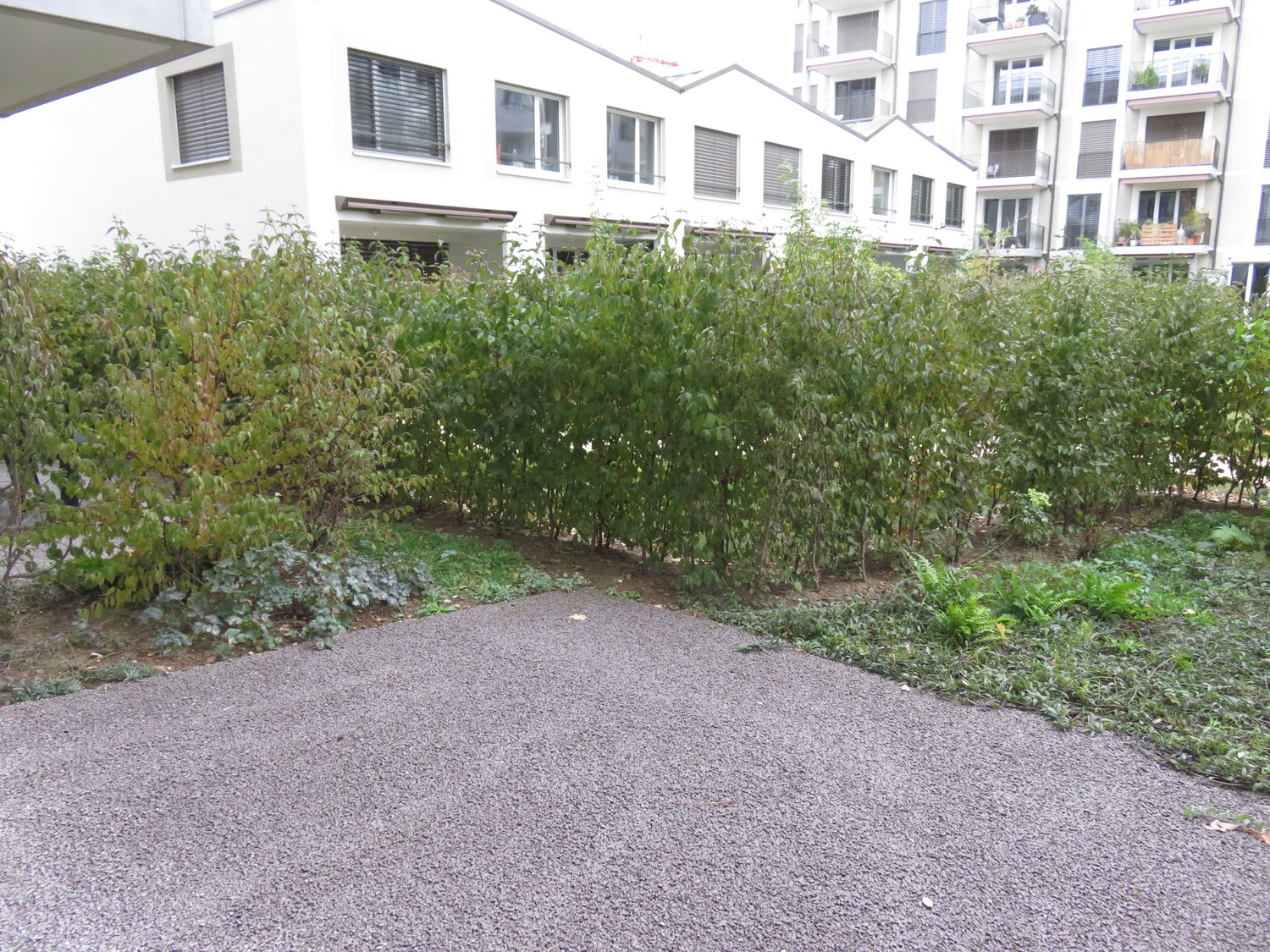 Appartamento di 2 ½ locali, foto 7 di 7