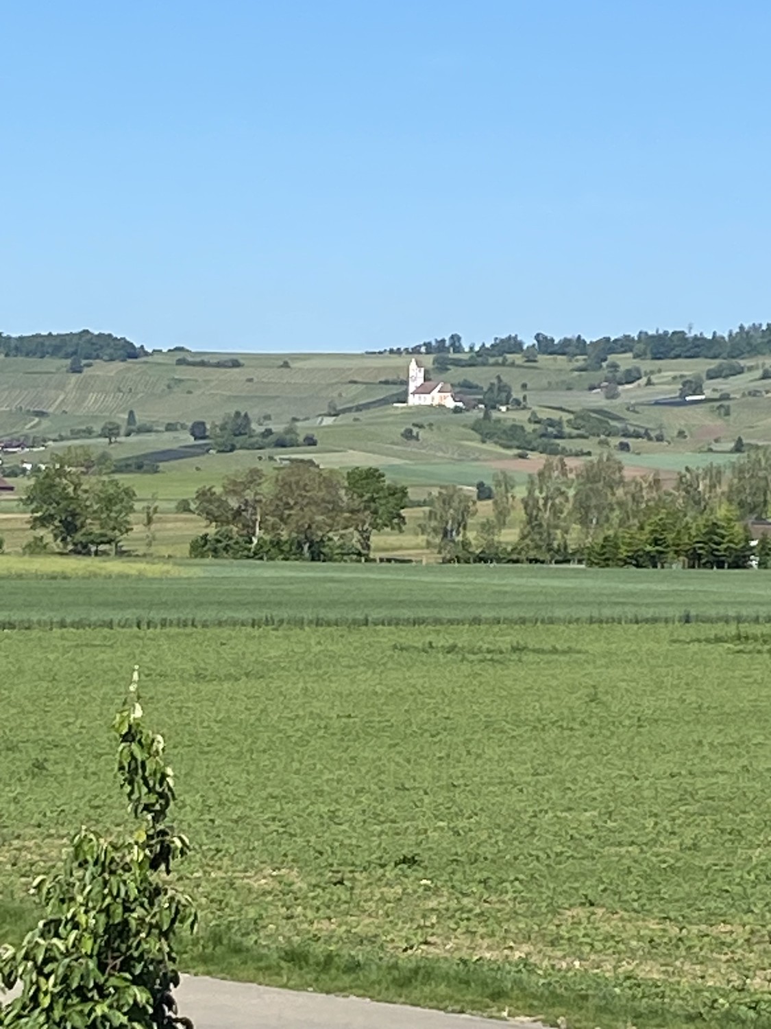 Stanza in un appartamento condiviso