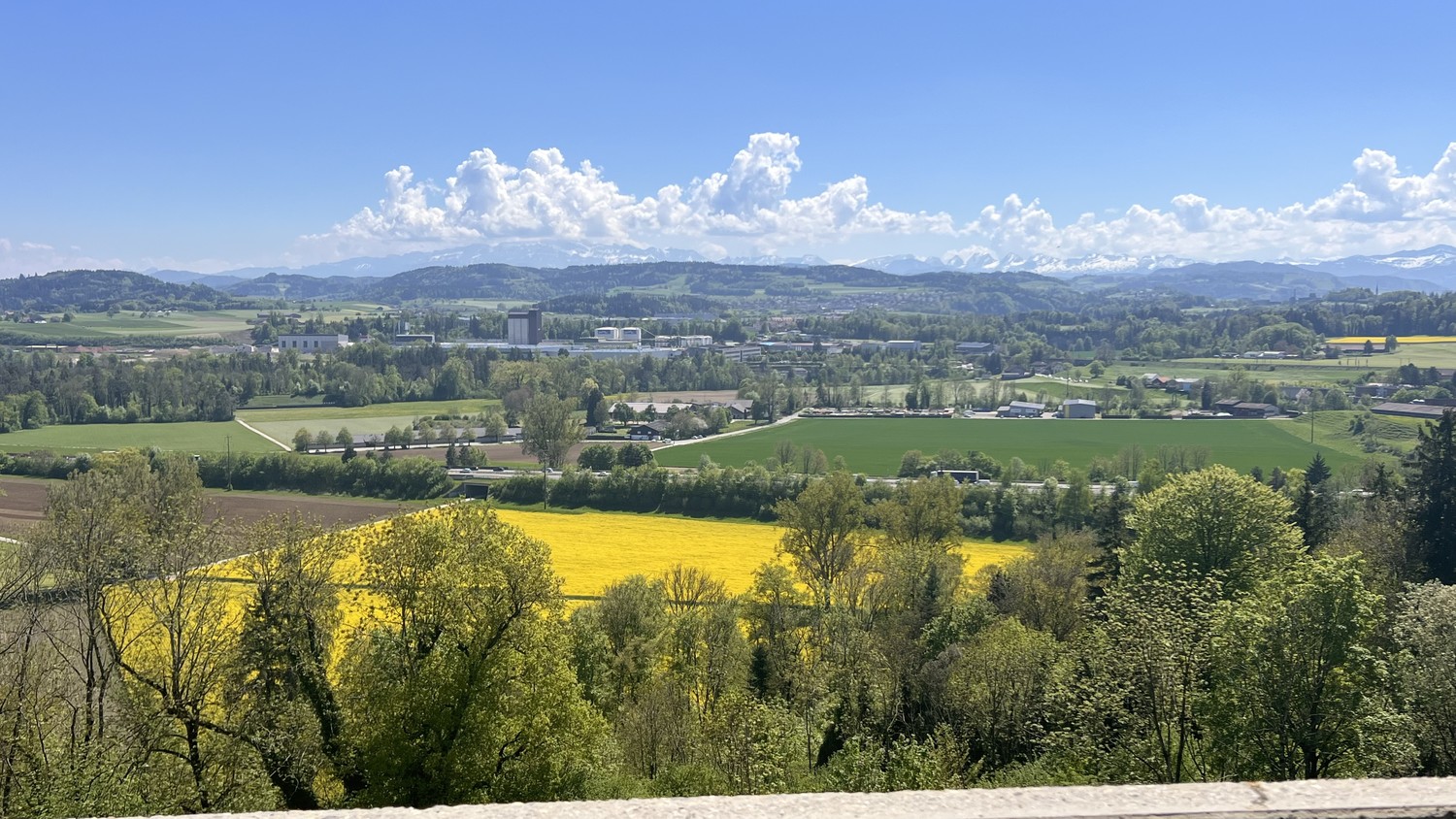 Appartamento di 3 ½ locali, foto 4 di 8