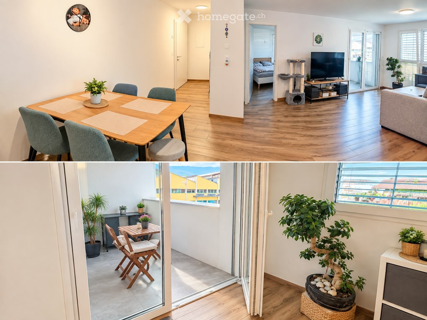 Appartamento di 2 ½ locali, foto 2 di 3