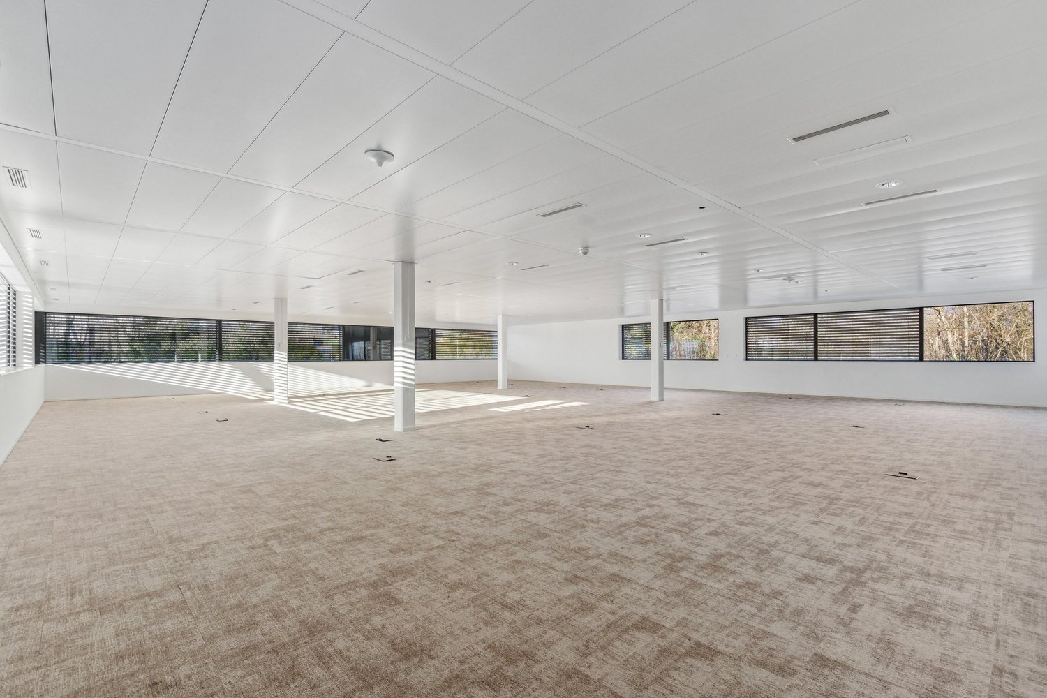 134m² Büro